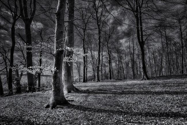 Bognæs ved Roskilde