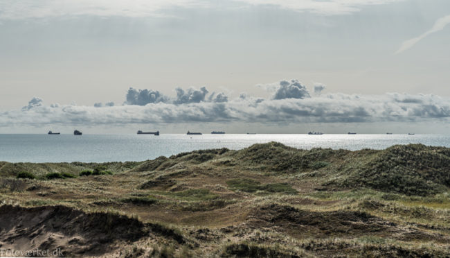 Skibe på reden ud for Skagen